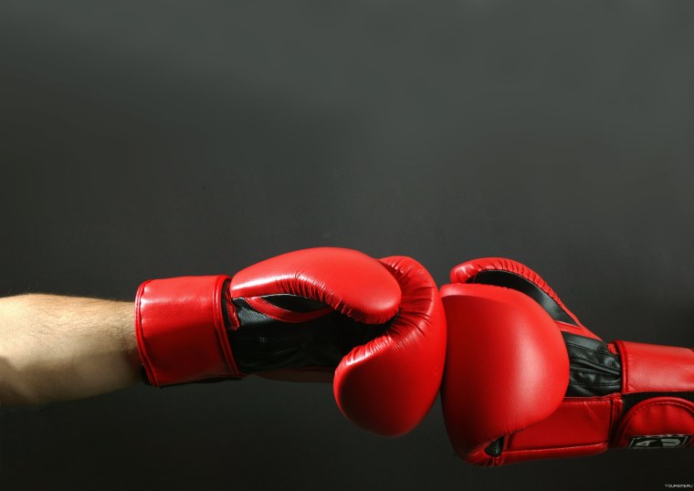 Оксерские Перчаткина ринге