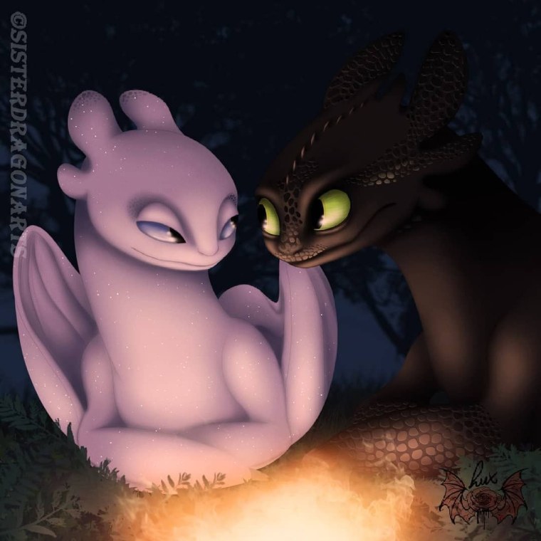 Toothless and Light Fury