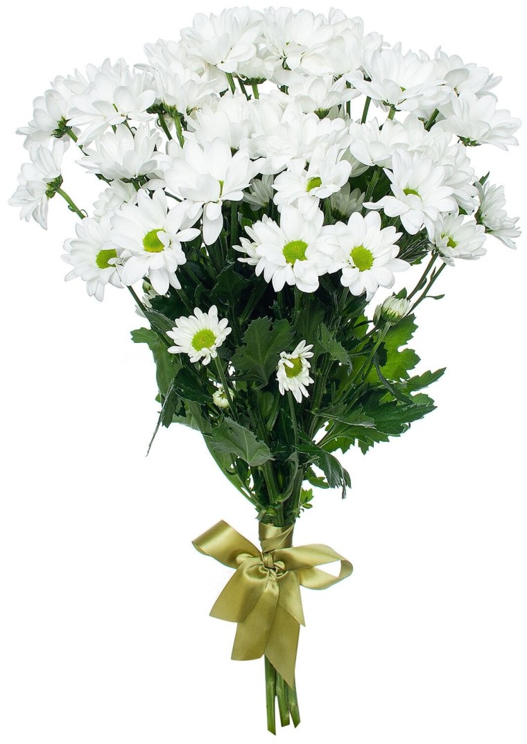 Хризантемы кустовые букет 5 штук