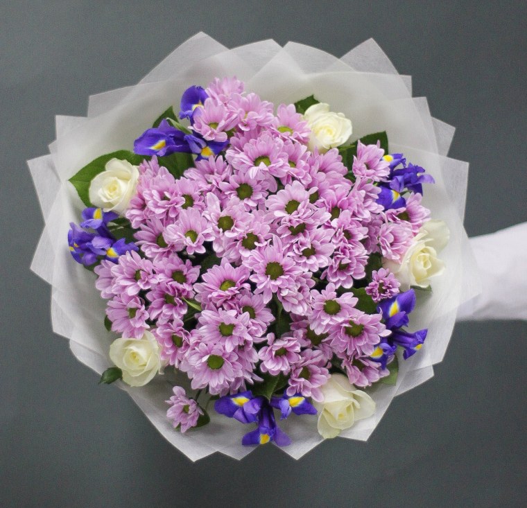 Хризантема кустовая pastela Rose