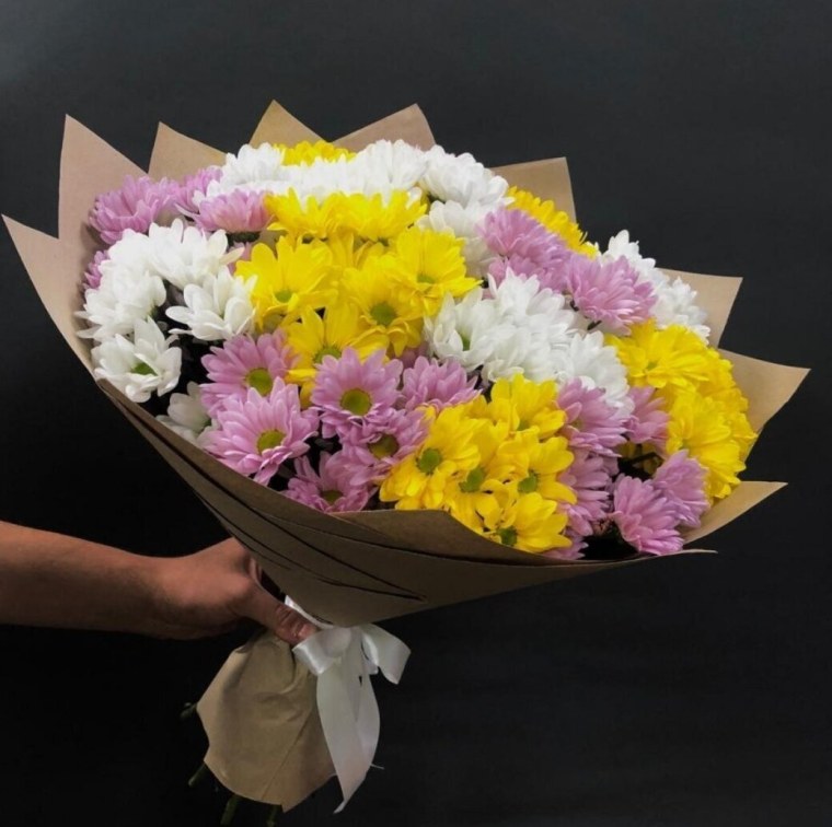 Хризантема кустовая микс букет