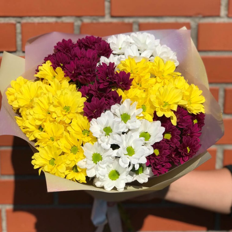 Букет 5 хризантем микс