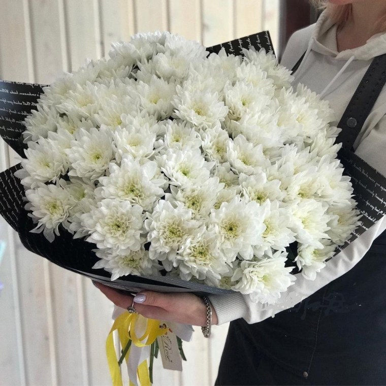 Хризантема кустовая Илонка