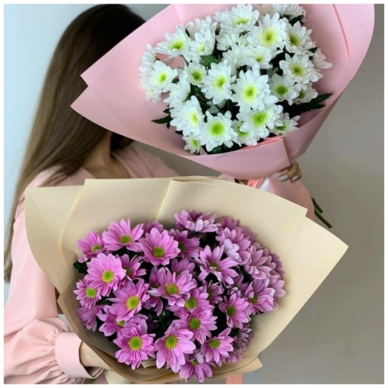 Три кустовые хризантемы