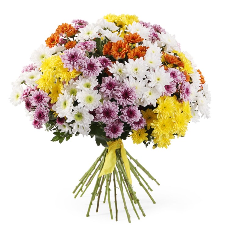 Хризантема кустовая микс