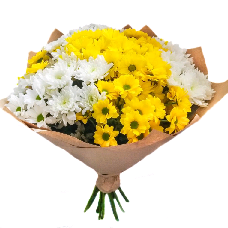 Хризантема кустовая (9шт)