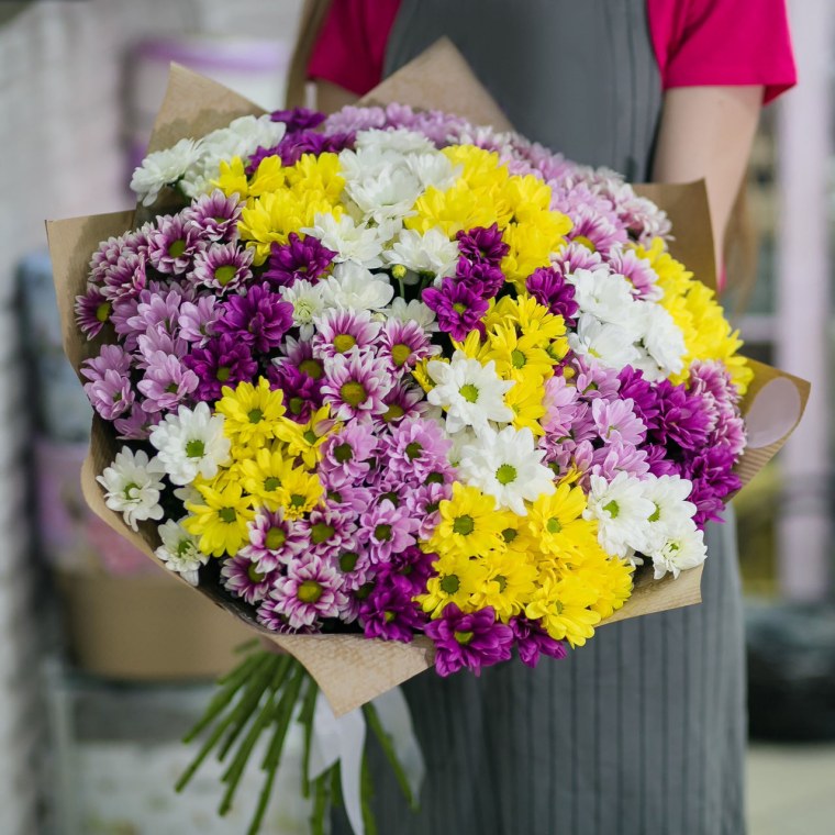 Хризантема кустовая разноцветная