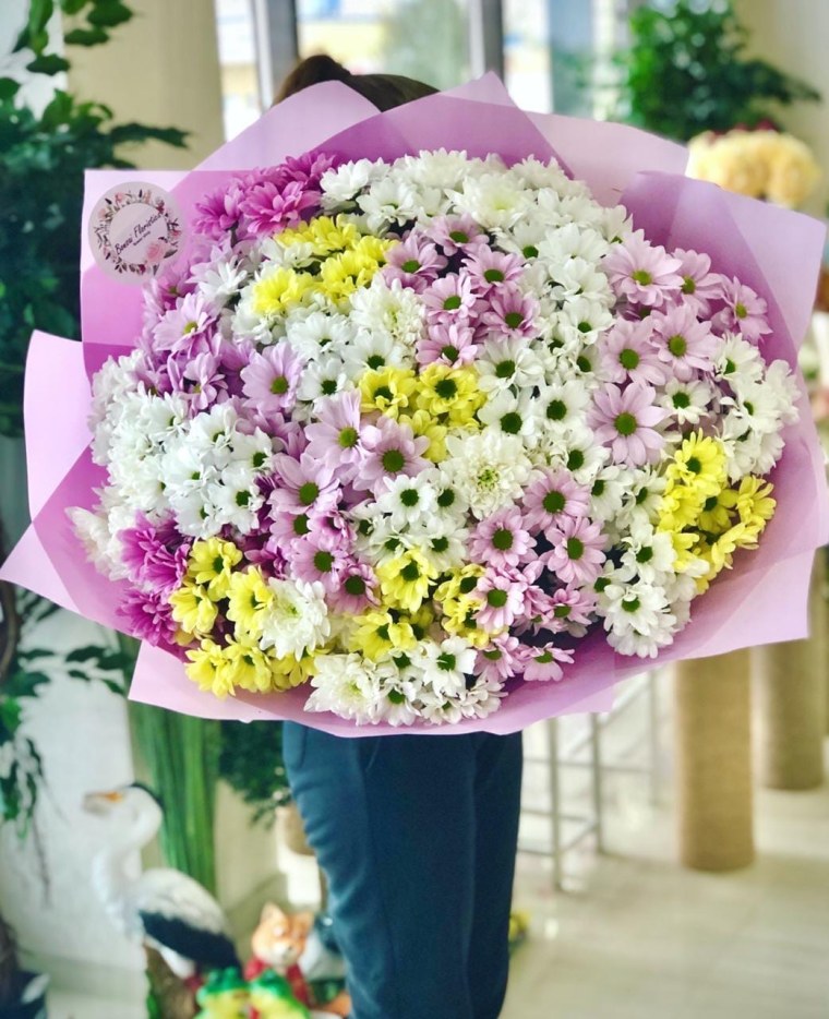 21 Хризантема кустовая