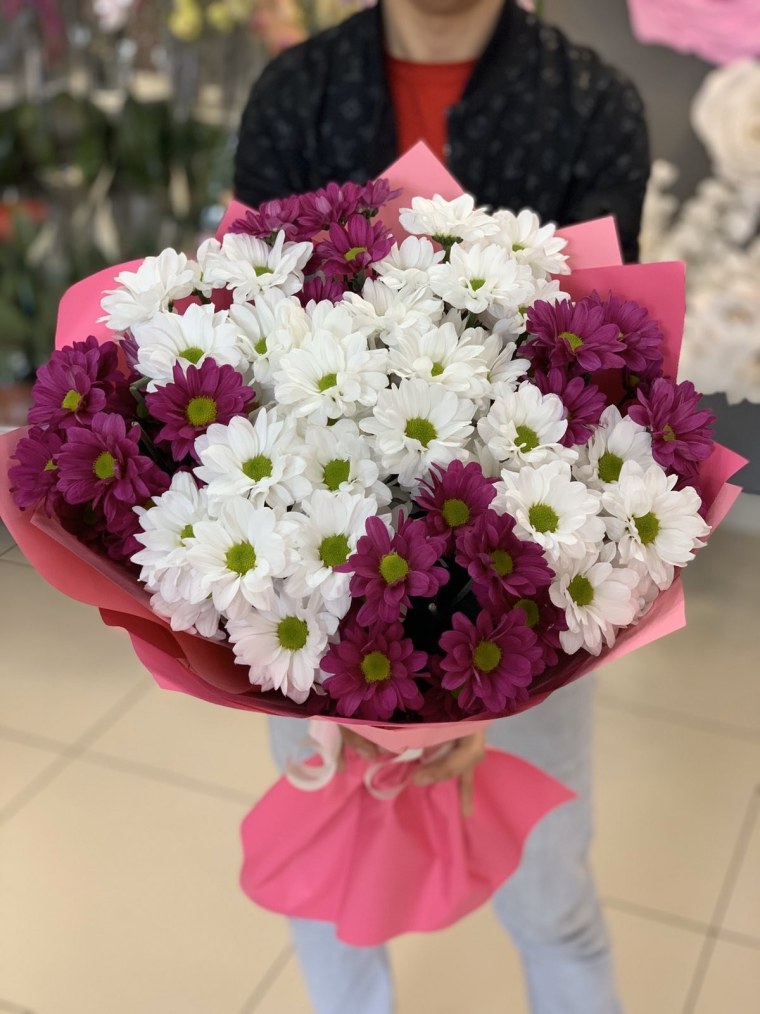 Хризантема кустовая (9шт)