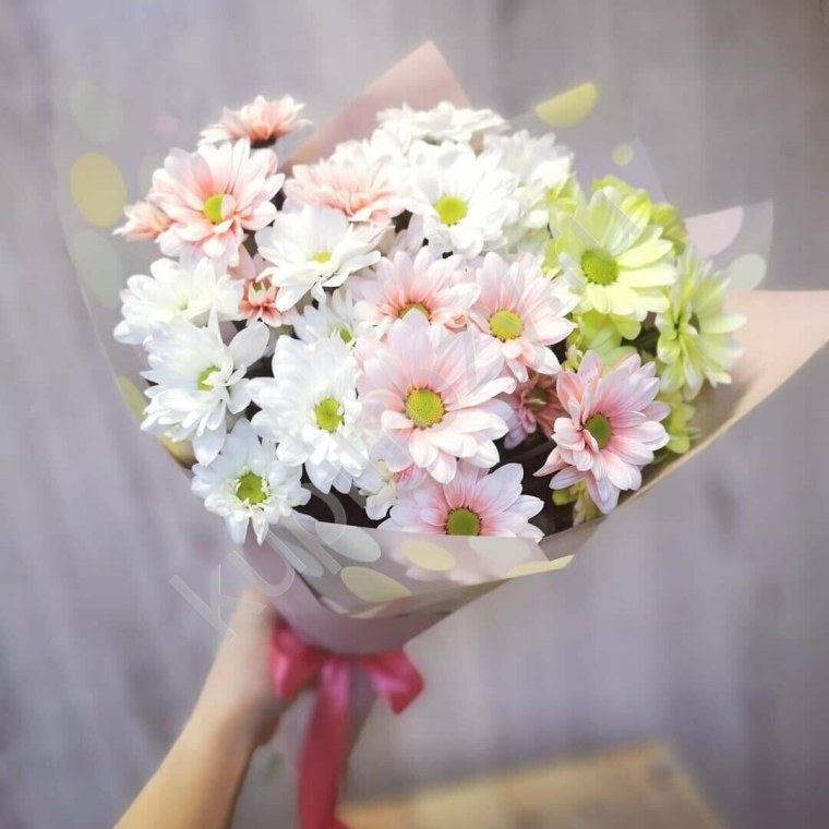 Ромашковидная Хризантема букет