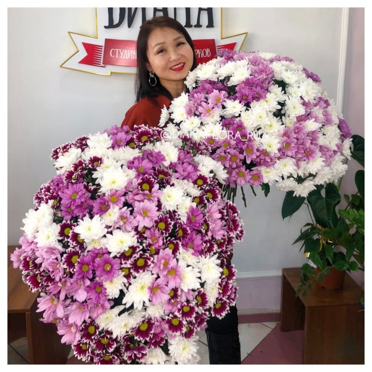 Хризантема кустовая сиреневый туман