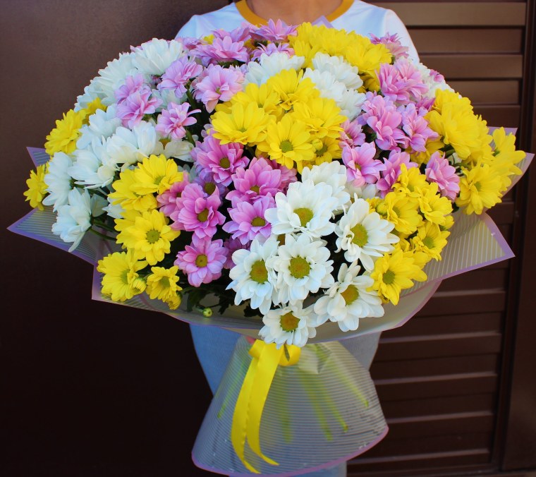 Хризантема кустовая микс букет