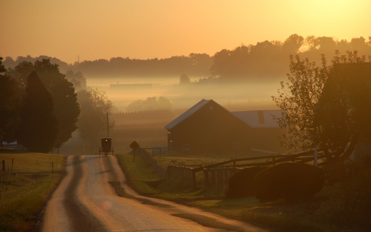 Деревня в тумане