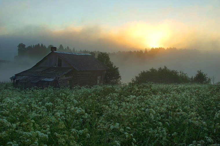 Деревня Сидозеро Ленинградская область