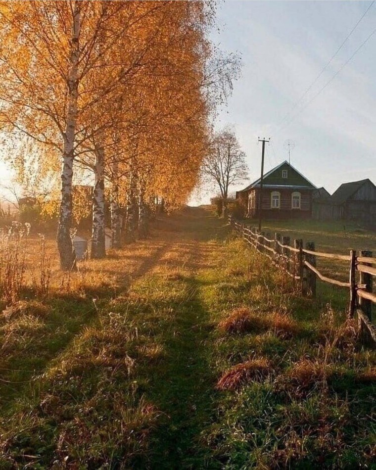 Деревенская природа