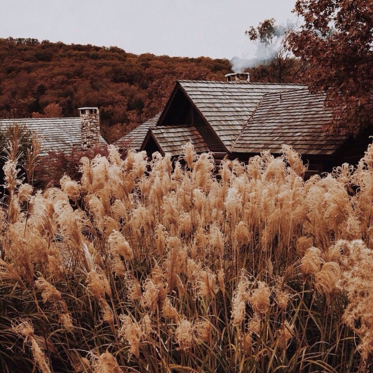 Эстетика деревни