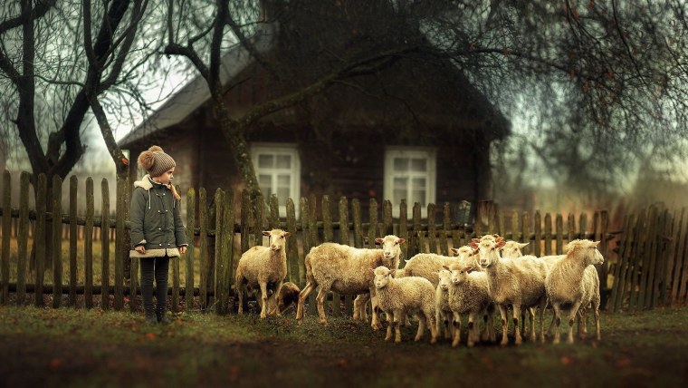 Эстетика деревни