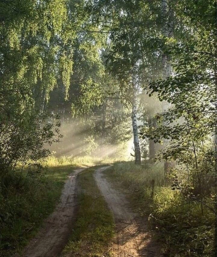 Утро в деревне