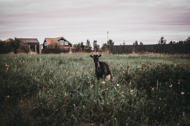 Деревня Пинтерест