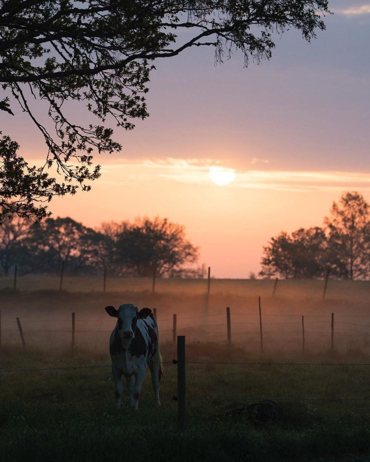 Эстетика лета в деревне