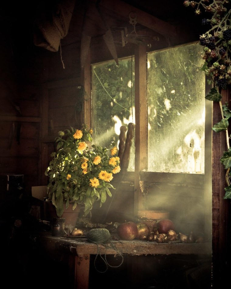 Окно в сад вечером