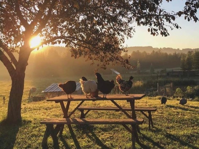 Эстетика деревни летом