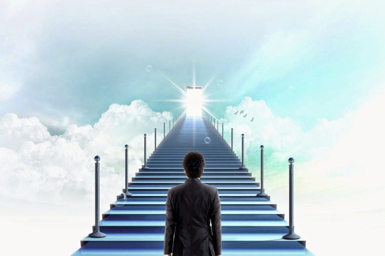 Лестница жизни