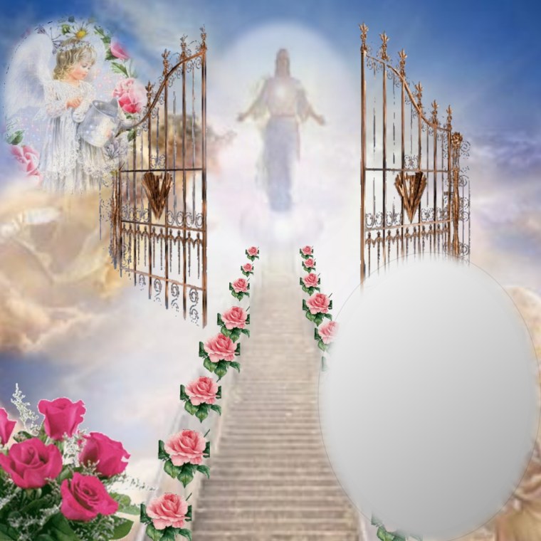 Ворота в рай