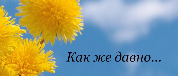 Успех там где