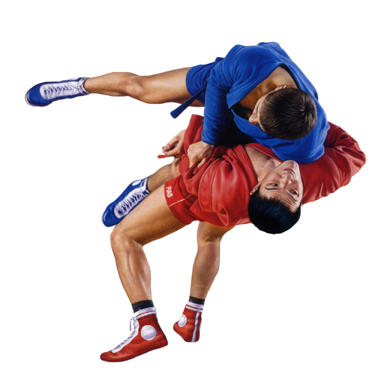 Борцы самбо