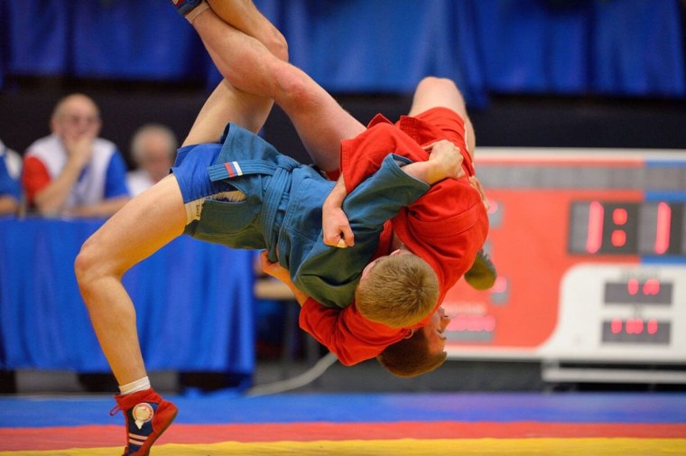 Самбо (борьба) самбисты России