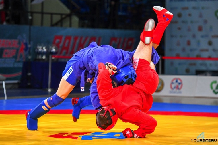 Боевое самбо Чита