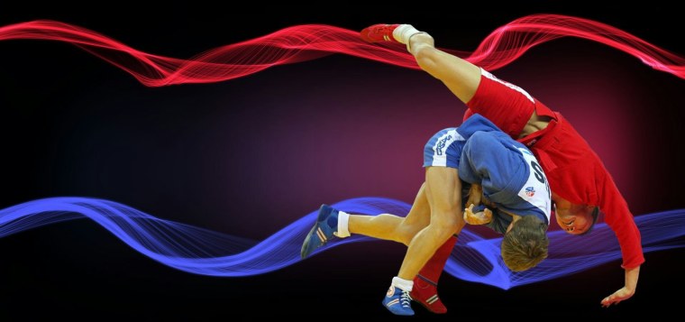 Баннер самбо