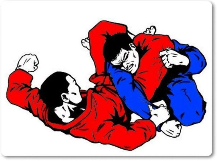 Изображение самбо