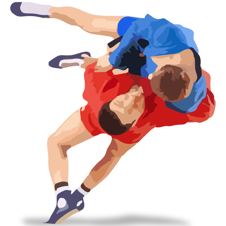 Вымпел самбо