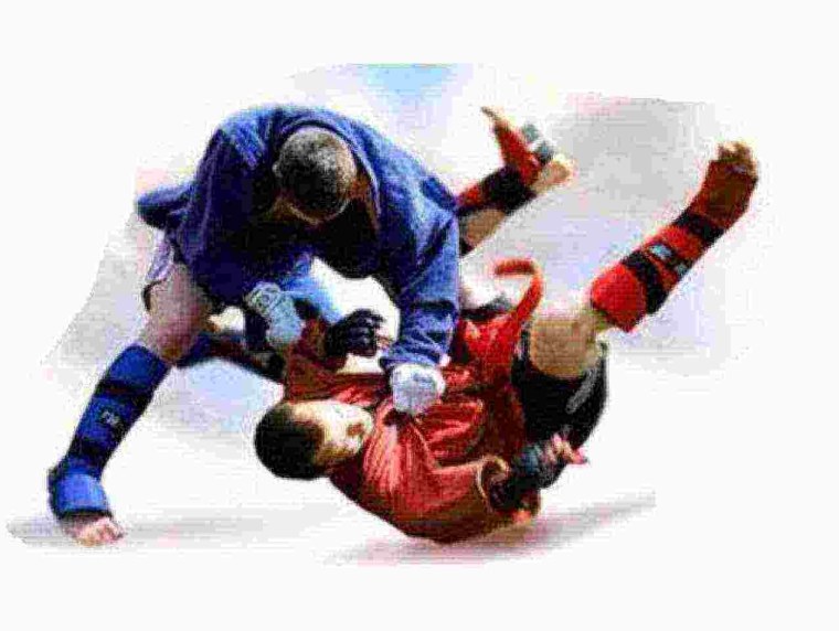 Боевое самбо на белом фоне