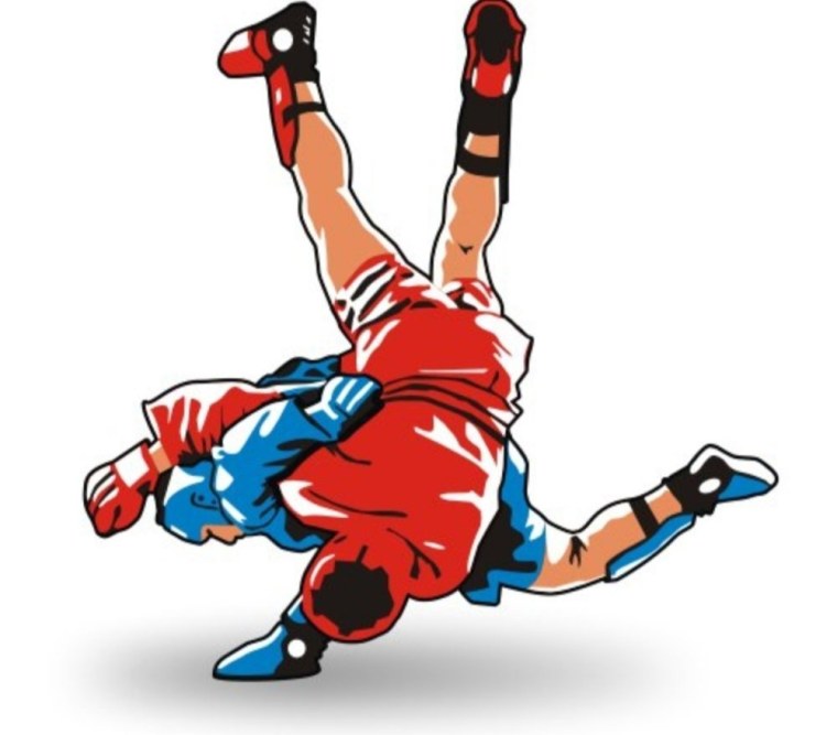 Самбо иллюстрация