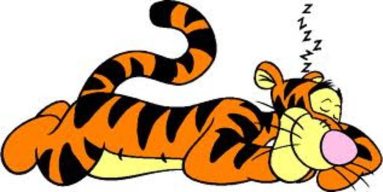 Тигра из Винни пуха спит