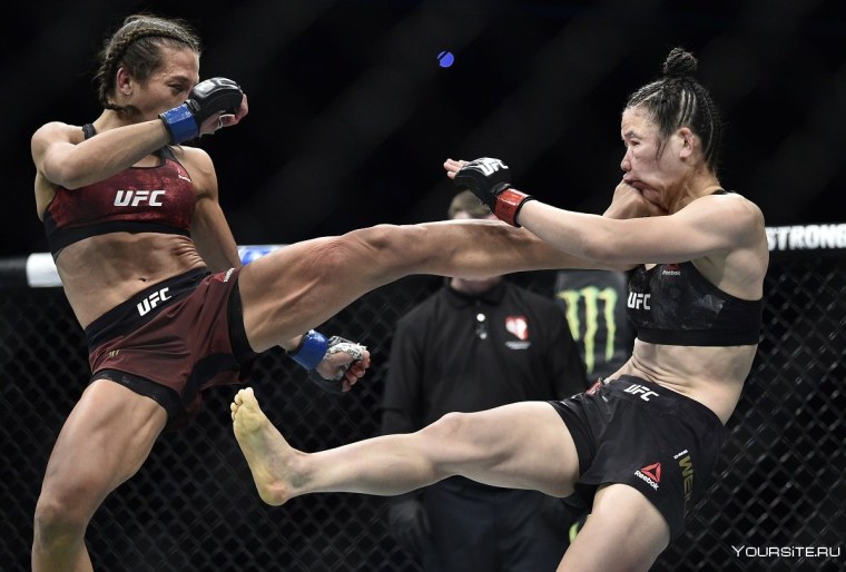 Йоанна Енджейчик Вейли жанг