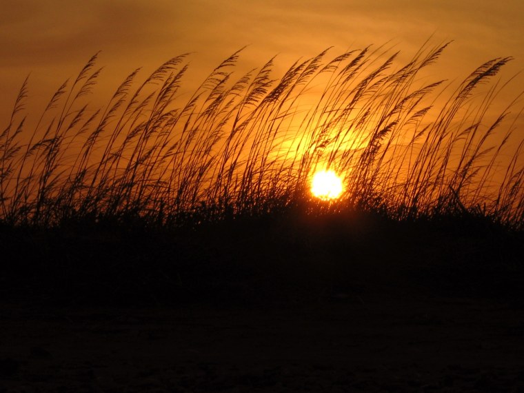 Ночь костер степь