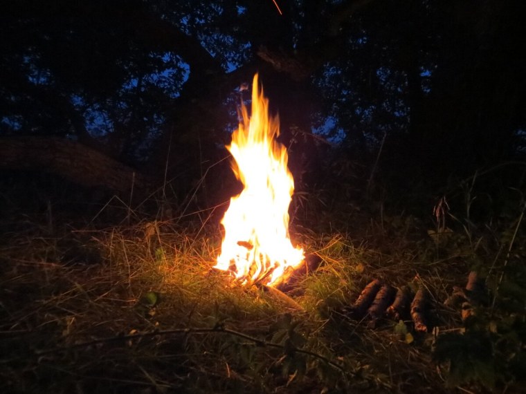 Костер в лесу