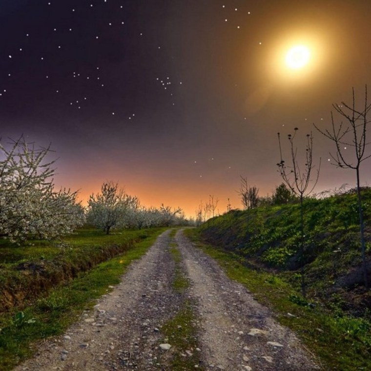 Дорога в деревне ночью