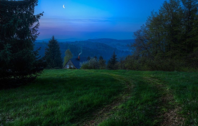 Поляна в лесу ночью