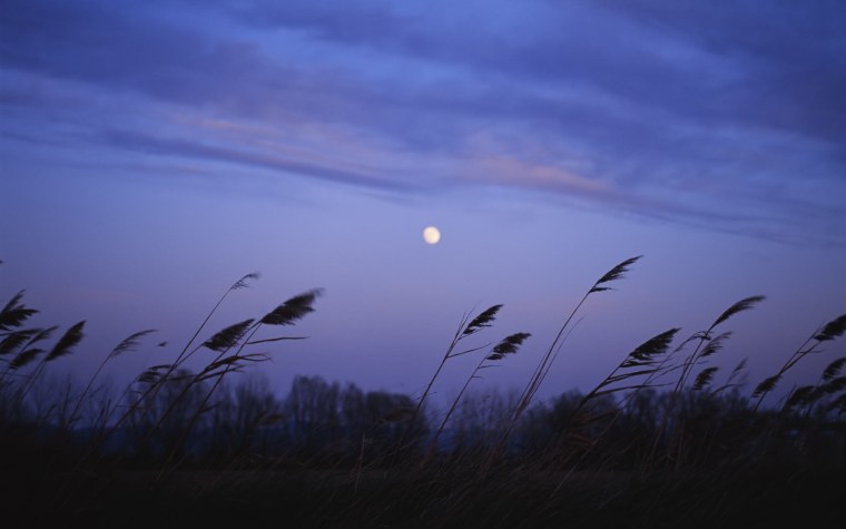 Иван Саввич Никитин в синем небе плывут