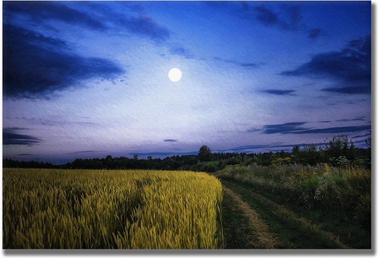 Ржаное поле ночью