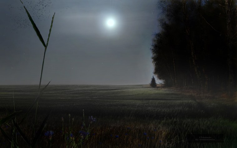 Туман в поле ночью