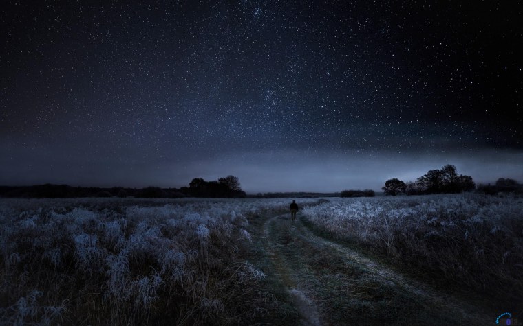 Ночное поле