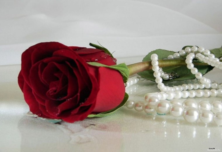 Пожелания от чистого сердца