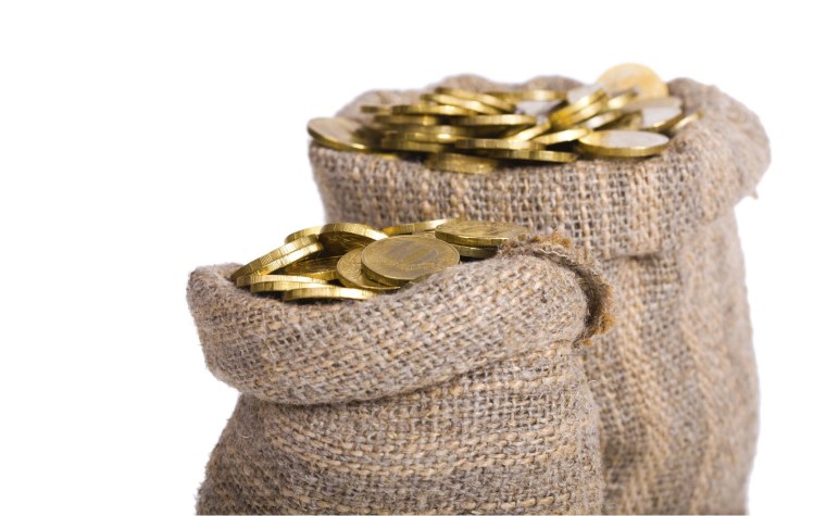 Монета с мишкой