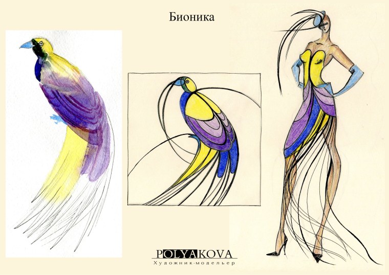 Бионика в дизайне одежды